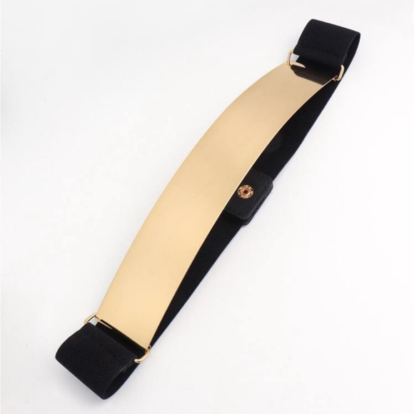 Zara limited edition stretchable with gold metallic combination belt - Picture 6 of 10